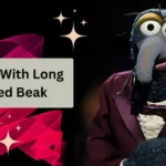 Muppet with Long Hooked Beak