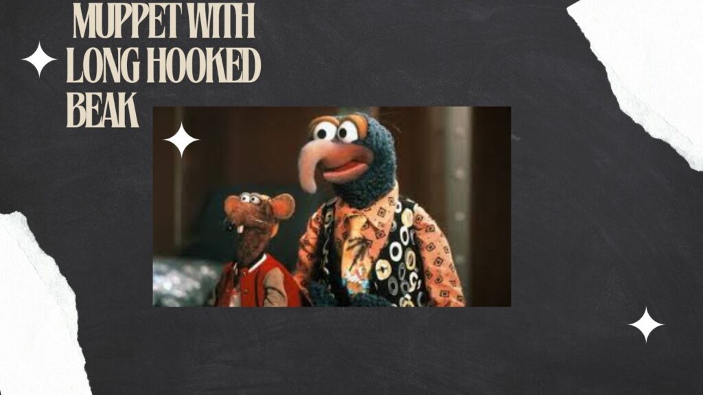 Muppet with Long Hooked Beak