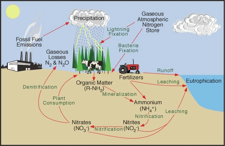 Geology Earth Systems 1340 Exam 4 Study Guide